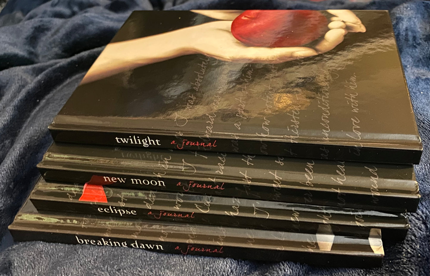 The Twilight Journals - Hardcover